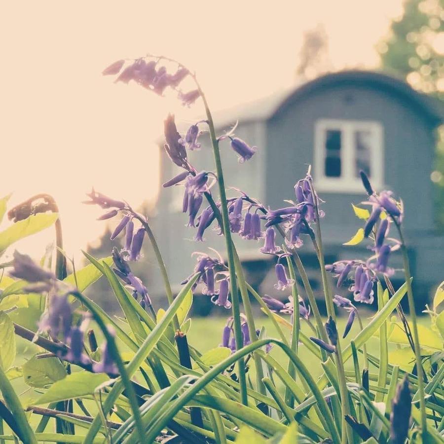 Skylark Shepherds Hut Ройал-Танбридж-Уэльс Экстерьер фото